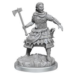 D&D Nolzurs Marvelous Unpainted Miniatures Human Fighters