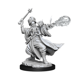 D&D Frameworks Human Wizard Male