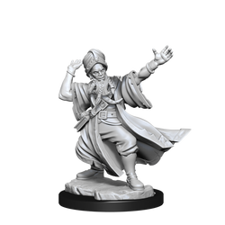 D&D Frameworks Human Wizard Male
