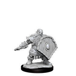 D&D Frameworks Dwarf Fighter Male