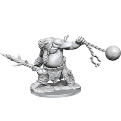D&D Frameworks Ogre