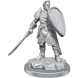 D&D Nolzurs Marvelous Unpainted Miniatures Human Fighters