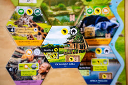 Sanctuary (an Ark Nova game)