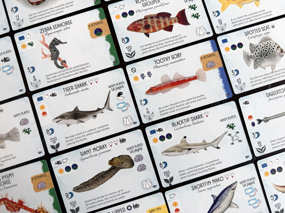 Finspan - Sharks & Reefs Expansion (In-store Only)