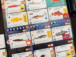 Finspan - Sharks & Reefs Expansion (In-store Only)