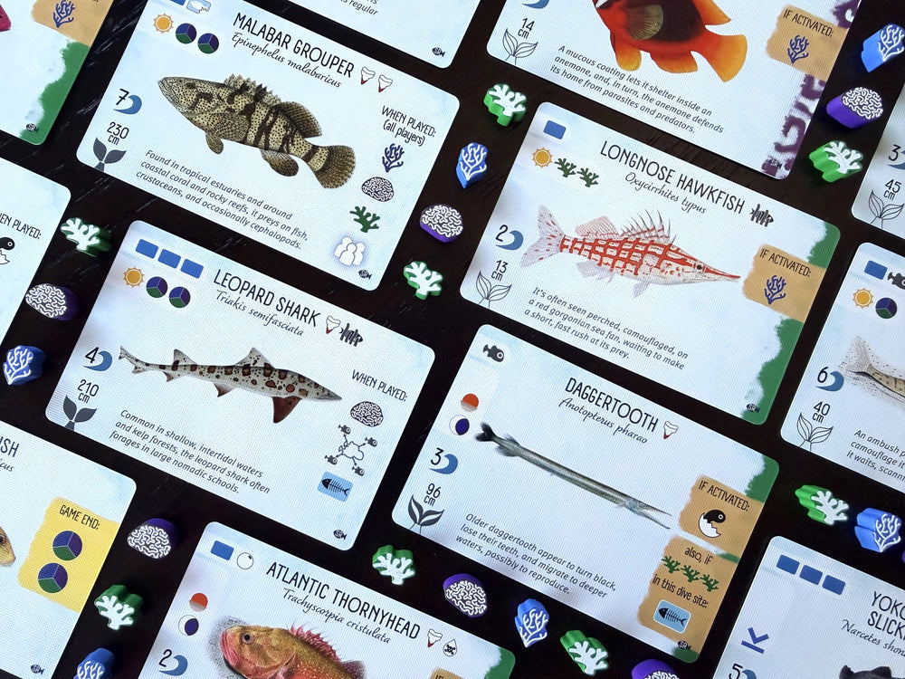 Finspan - Sharks & Reefs Expansion (In-store Only)