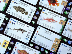 Finspan - Sharks & Reefs Expansion (In-store Only)