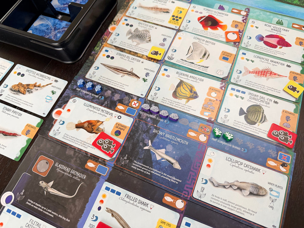 Finspan - Sharks & Reefs Expansion (In-store Only)