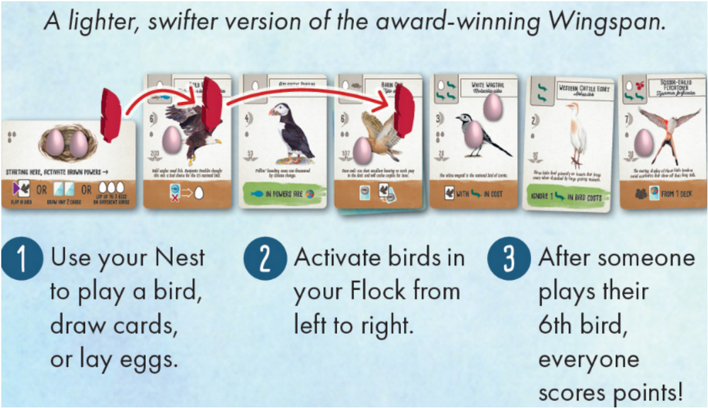 Wingspan Pocket