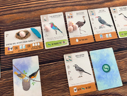 Wingspan Pocket