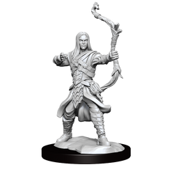 D&D Frameworks Elf Ranger Male