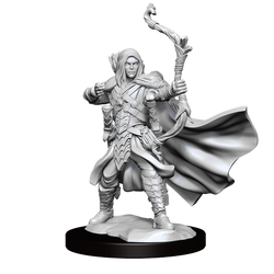 D&D Frameworks Elf Ranger Male