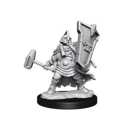 D&D Frameworks Dwarf Cleric Female