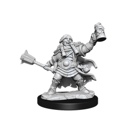 D&D Frameworks Dwarf Cleric Female