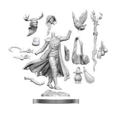 D&D Frameworks Human Druid Female