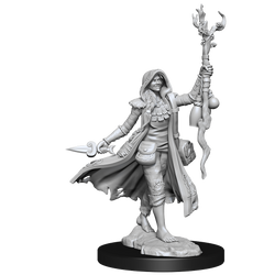 D&D Frameworks Human Druid Female