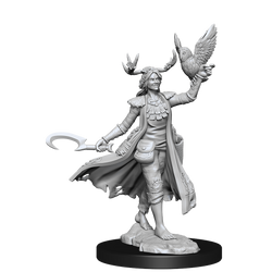 D&D Frameworks Human Druid Female