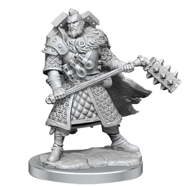 D&D Frameworks Human Male Fighter