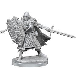 D&D Frameworks Human Male Fighter