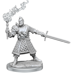 D&D Frameworks Human Male Fighter