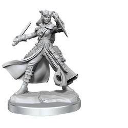 D&D Frameworks Tiefling Rogue Female