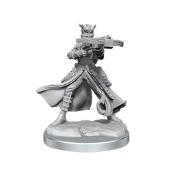 D&D Frameworks Tiefling Rogue Female