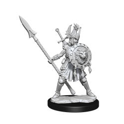 D&D Frameworks Human Fighter Female