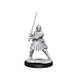 D&D Frameworks Human Fighter Female