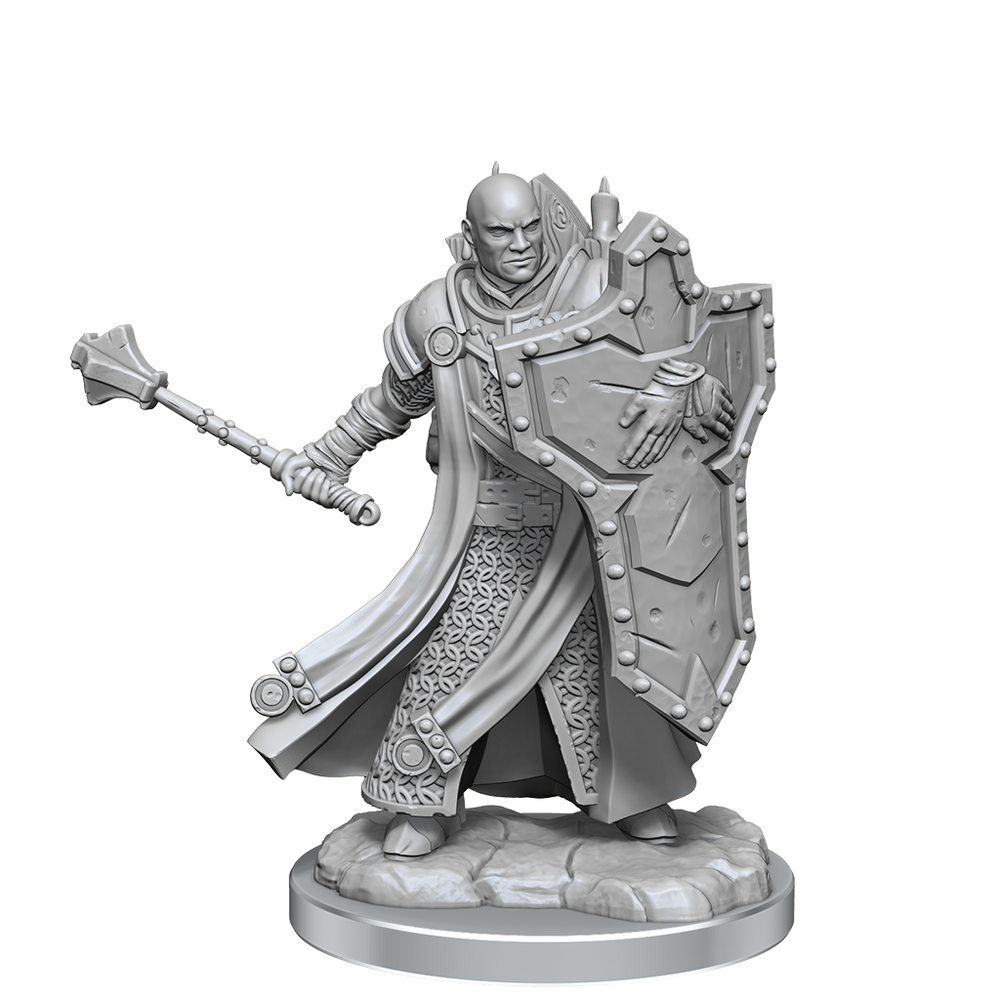 D&D Frameworks Human Cleric Male