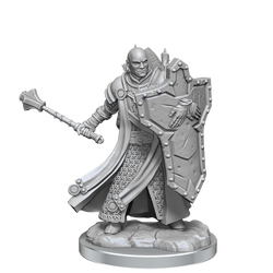 D&D Frameworks Human Cleric Male