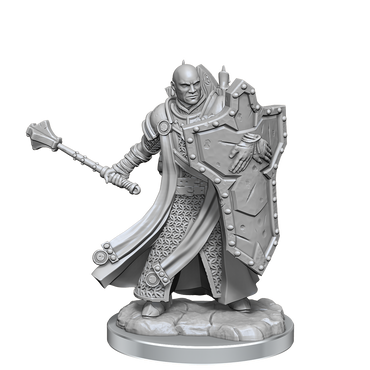 D&D Frameworks Human Cleric Male