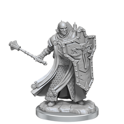 D&D Frameworks Human Cleric Male