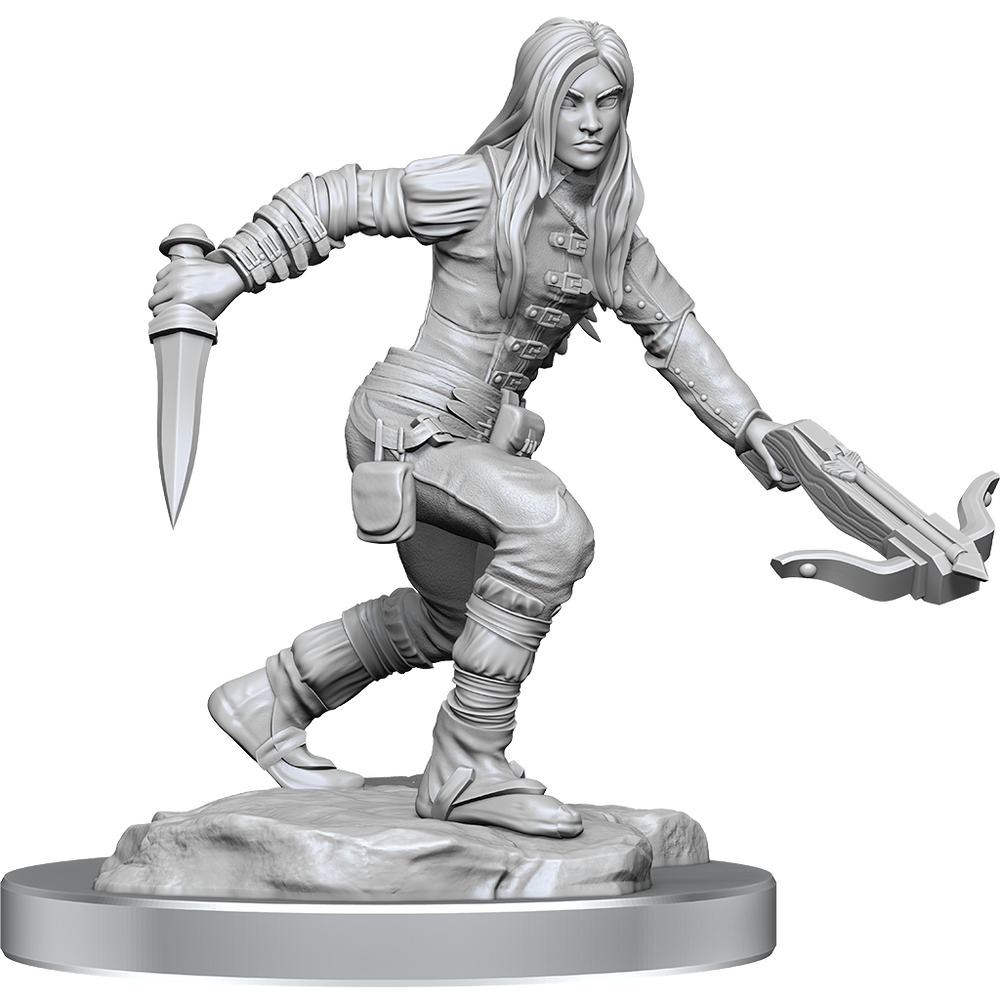 D&D Nolzurs Marvelous Unpainted Miniatures Half-Elf Rogue Female