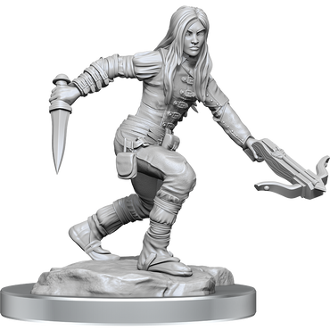 D&D Nolzurs Marvelous Unpainted Miniatures Half-Elf Rogue Female
