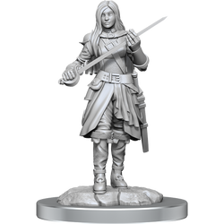 D&D Nolzurs Marvelous Unpainted Miniatures Half-Elf Rogue Female
