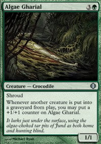 Algae Gharial [Shards of Alara]