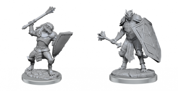 D&D Nolzurs Marvelous Unpainted Miniatures Dragonborn Clerics