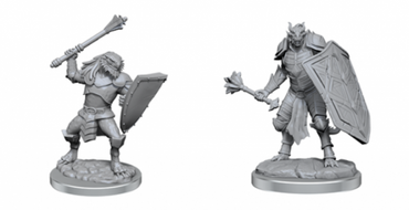 D&D Nolzurs Marvelous Unpainted Miniatures Dragonborn Clerics