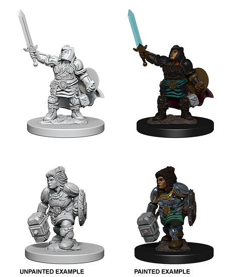 D&D Nolzur's Marvelous Miniatures: Dwarf Paladin