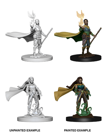 D&D Nolzur's Marvelous Miniatures : Elf Druid