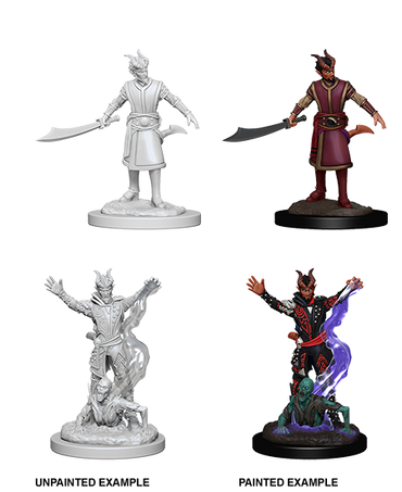 D&D Nolzur's Marvelous Miniatures: Male Tiefling Warlock