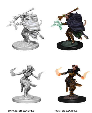 D&D Nolzur's Marvelous Miniatures: Female Tiefling Warlock