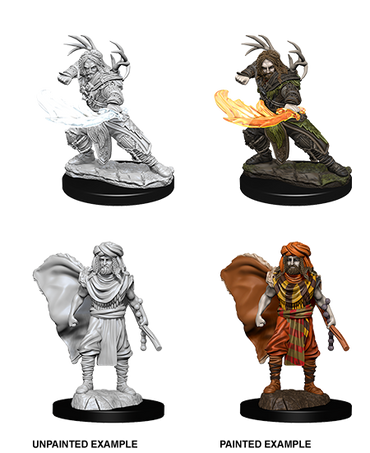 D&D Nolzur's Marvelous Miniatures: Male Human Druid
