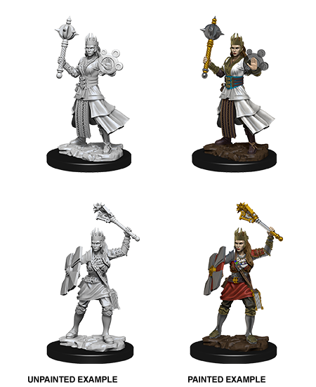 D&D Nolzur's Marvelous Miniatures: Female Human Cleric