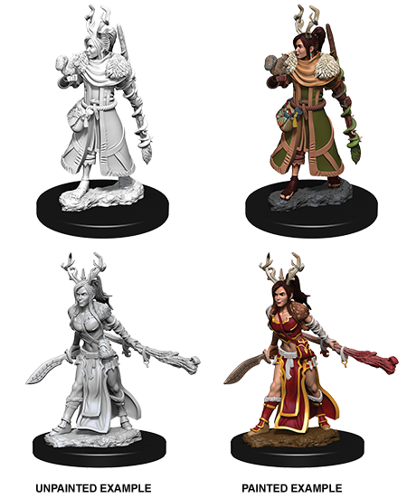 D&D Nolzur's Marvelous Miniatures: Female Human Druid