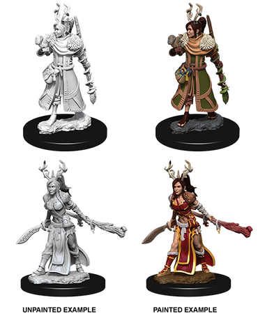 D&D Nolzur's Marvelous Miniatures: Female Human Druid