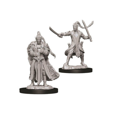 D&D Nolzur's Marvelous Miniatures: Male Elf Paladin