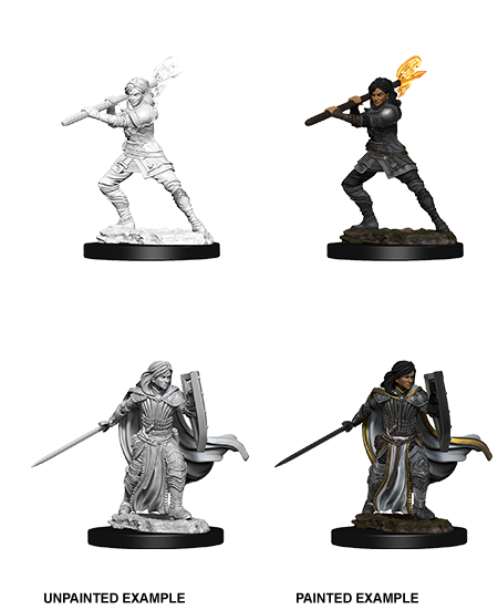 D&D Nolzur's Marvelous Miniatures: Female Human Paladin