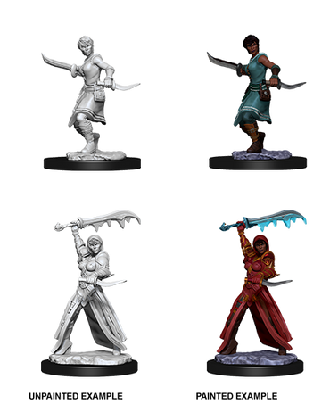 D&D Nolzur's Marvelous Miniatures: Female Human Rogue