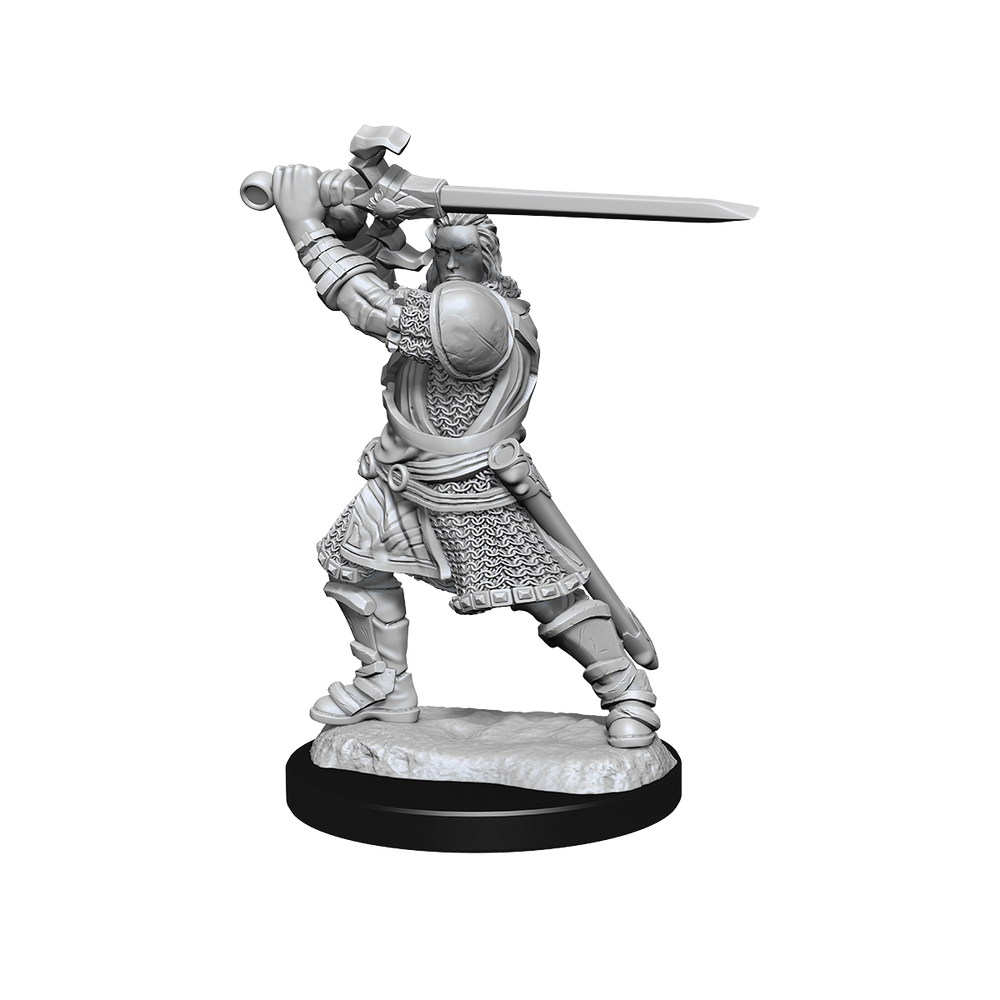 D&D Nolzurs Marvelous Unpainted Miniatures Human Paladin Male